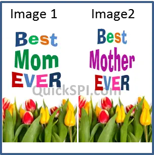 Best Mom Pack