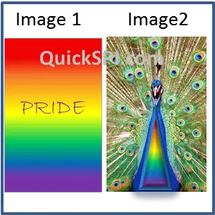 Pride Images for Sublimation